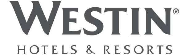 Logo 31